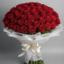Букет 101 Красная роза Блэк Мэджик в Череповце