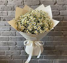 Букет цветов из:  Ромашки в Череповце