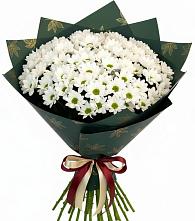 Букет цветов из:  Хризантемы #REPLACE_PRED# Череповце