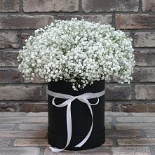 Цветочная композиция из Гипсофила в шляпной коробке в Череповце