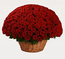 Премиум букет из: Розы в Череповце